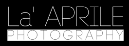 logo1.jpg